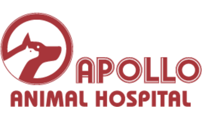 Glendale animal hospital 2024 hours